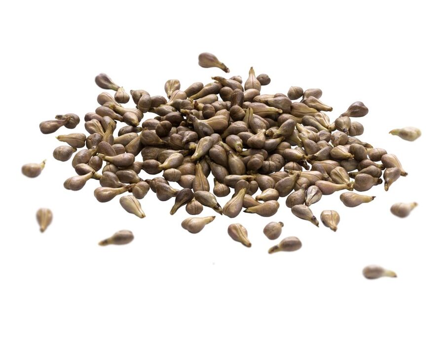 Crema de varicon conține ulei de semințe de struguri